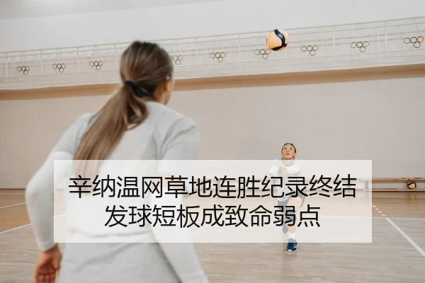 xin-na-wen-wang-cao-di-lian-sheng-ji-lu-zhong-jie-fa-qiu-duan-ban-cheng-zhi-ming-ruo-dian-2-762.jpg